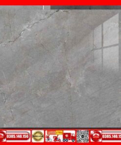 Gạch 100x100 Thắng Cường FIZINI-GVN101059 0 xám