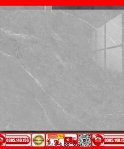Gạch 100x100 Thắng Cường FIZINI-GVN101060 xám