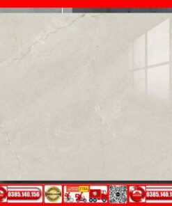 Gạch 100x100 Thắng Cường FIZINI-GVN101062 xám