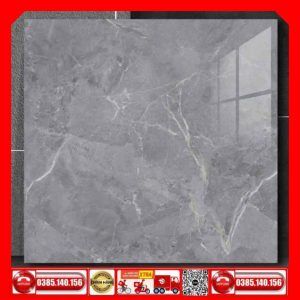 Gạch 100x100 Thắng Cường FIZINI-GVN101068 Marbal xám