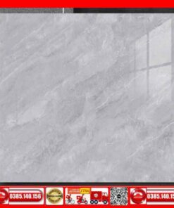Gạch 100x100 Thắng Cường FIZINI-GVN101069 Marbal xám
