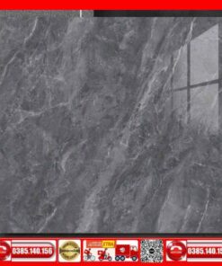 Gạch 100x100 Thắng Cường FIZINI-GVN101071 Marbal xám