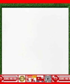 Gạch 50x50-Prime trắng trơn