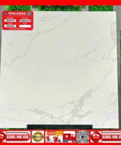 Gạch 60x60-Granite Thạch Bàn PGM600225