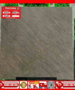 Gạch 60x60-Granite Thạch Bàn PGM600230