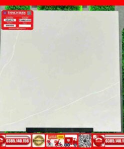 Gạch 60x60-Granite Thạch Bàn PGM600231