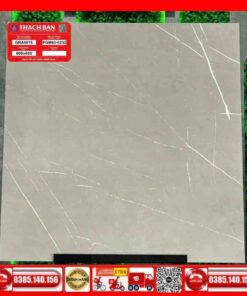 Gạch 60x60-Granite Thạch Bàn PGM600232