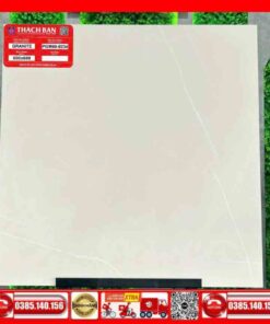Gạch 60x60-Granite Thạch Bàn PGM600234