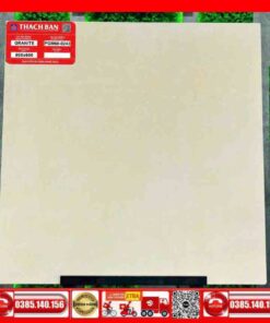 Gạch 60x60-Granite Thạch Bàn PGM600243