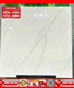 Gạch 60x60-Granite Thạch Bàn TGB600011