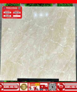 Gạch 60x60-Granite Thạch Bàn TGB600041