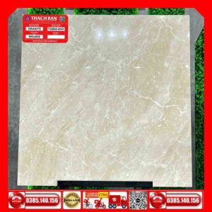 Gạch 60x60-Granite Thạch Bàn TGB600041