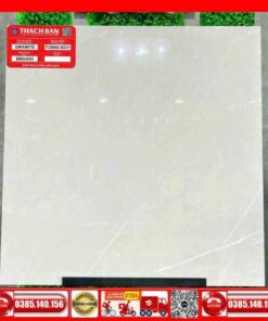 Gạch 60x60-Granite Thạch Bàn TGB600231
