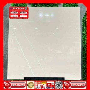 Gạch 60x60-Granite Thạch Bàn TGB600234