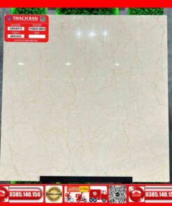 Gạch 60x60-Granite Thạch Bàn TGB600853