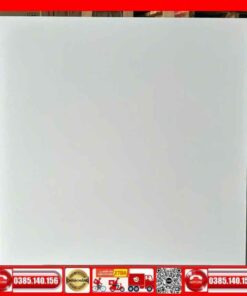 Gạch 60x60-Prime trắng trơn