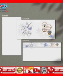 Gạch 30x60 Ý mỸ C36000-C36000D-C36000L