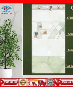 Gạch 30x60 Ý mỸ C36055LR-C36055D-C36055R-C36055NR