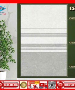 Gạch 30x60 Ý mỸ C36056-C36056D-C36056N