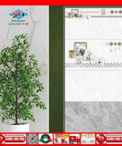 Gạch 30x60 Ý Mỹ S36038R-S36038D-S36038LR-S36038NR
