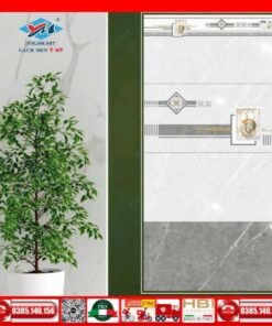 Gạch 30x60 Ý Mỹ S36055R-S36055D-S36055LR-S36055NR