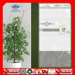 Gạch 30x60 Ý Mỹ S36055R-S36055D-S36055LR-S36055NR