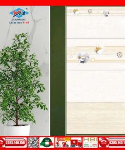 Gạch 30x60 Ý Mỹ S36058R-S36058D-S36058LR-S36058NR