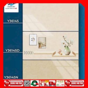 Gạch 30x60 Ý Mỹ Y36145-Y36145D-Y36145N