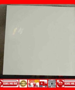 Gạch 60x60 Teaicera P67615N - Gạch 80x80 Taicera P87615N