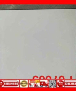 Gạch 60x60 Teaicera P67665 - Gạch 80x80 Taicera P87665