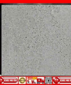 Gạch 60x60 Ý mỸ P65097RMG Granite Terrazzo xám