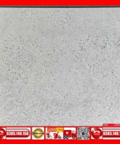 Gạch 60x60 Ý mỸ P65098RMG Granite xám mờ