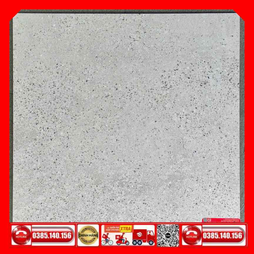 Gạch 60x60 Ý mỸ P65098RMG Granite xám mờ