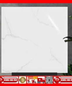 Gạch 60x60 Ý mỸ P68095 Granite trắng vân xám
