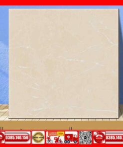 Gạch 60x60 Ý mỸ Y6101RM