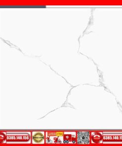 Gạch 60x60 Ý mỸ Y6105RM