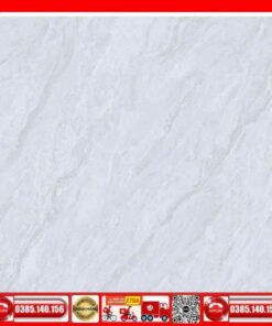 Gạch 60x60 Ý mỸ Y6109R Granite