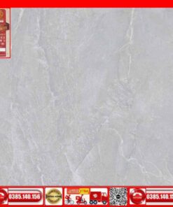 Gạch lát nền 60x60 Prime 13.600600.09204 xám bóng