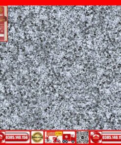 Gạch lát nền 60x60 Prime 14.600600.32215 đá hoa cương xám