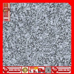 Gạch lát nền 60x60 Prime 14.600600.32215 đá hoa cương xám