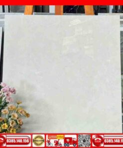 Gạch 60x60 Á Mỹ 5640A1