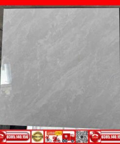 Gạch 60x60 Á Mỹ 5650A xám bóng