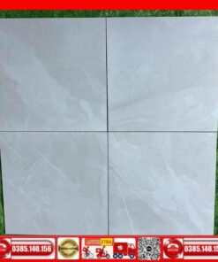 Gạch 60x60 Granite VING6602 đá mờ xám