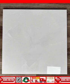 Gạch 60x60 lát nền D6302