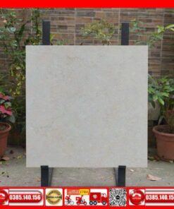 Gạch 80x80 Granite Taicera-G88P12JM đá mờ
