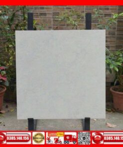 Gạch 80x80 Granite Taicera-G88P13JM đá mờ