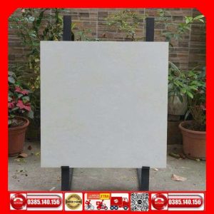 Gạch 80x80 Granite Taicera-G88P22JM đá mờ