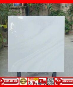 Gạch 80x80 Granite Taicera-GP88L50JW