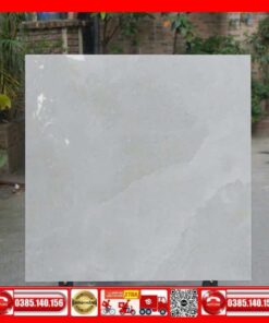 Gạch 80x80 Granite Taicera-GP88L53JW mây xám