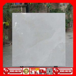 Gạch 80x80 Granite Taicera-GP88L53JW mây xám